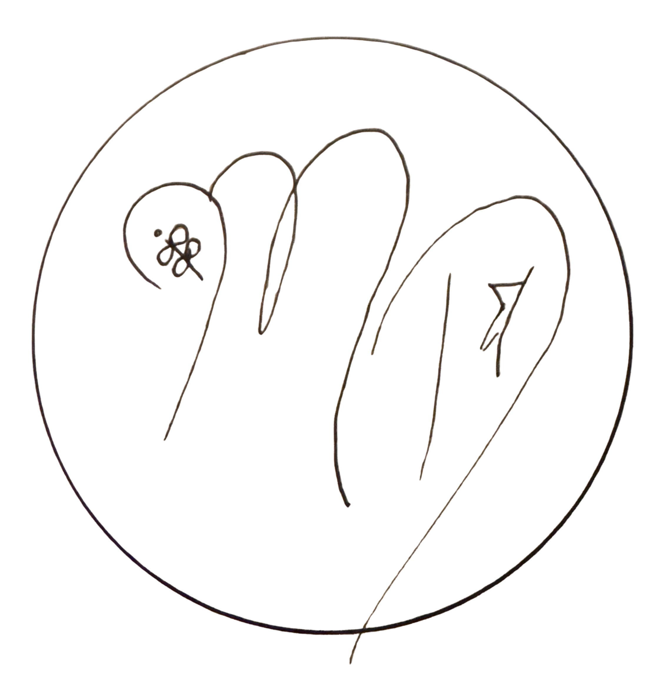 Miraculous Dreamer